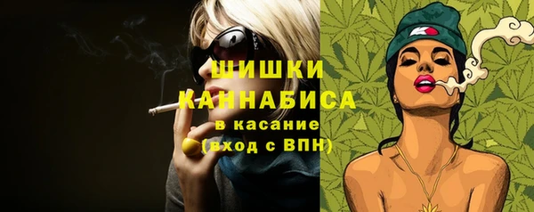 Альфа ПВП Аркадак