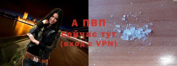 спайс Арсеньев