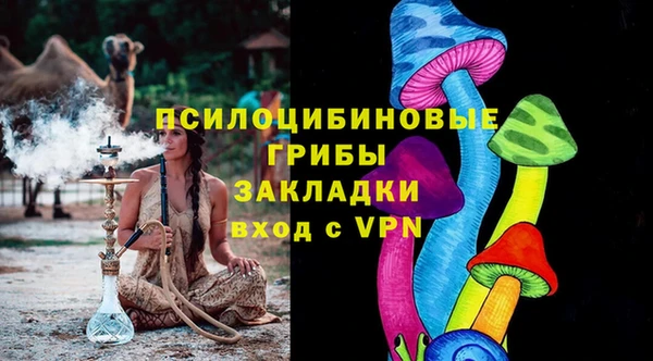 Альфа ПВП Аркадак