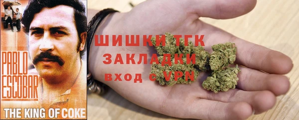 спайс Арсеньев